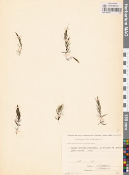 MAG 0003101
