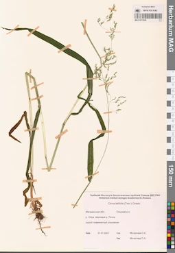 MAG 0013046