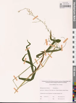 MAG 0013047