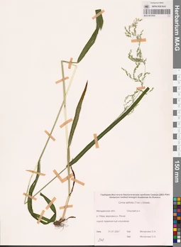 MAG 0013054