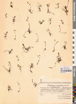 MAG 0015078