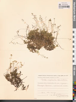 MAG 0012847