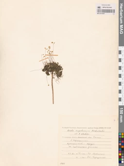 MAG 0012850