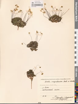 MAG 0012853