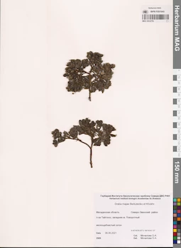 MAG 0012776