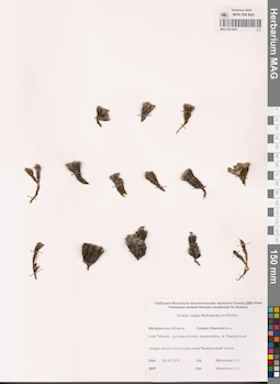 MAG 0012841