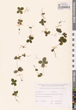 MAG 0015136