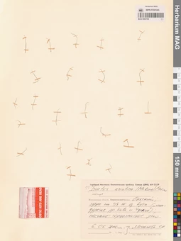MAG 0003749