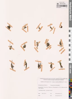 MAG 0003779