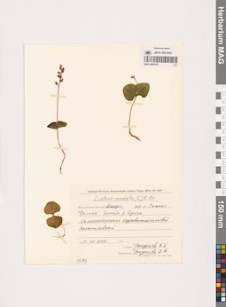 MAG 0001853