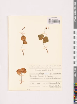 MAG 0001854