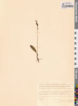 MAG 0001762