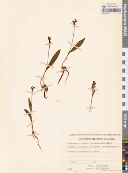 MAG 0001770