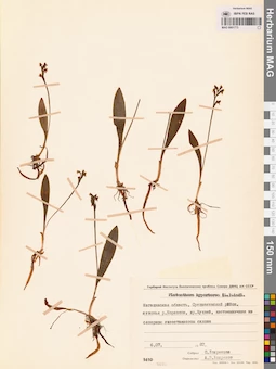 MAG 0001773