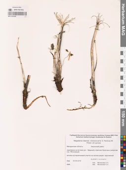 MAG 0014328
