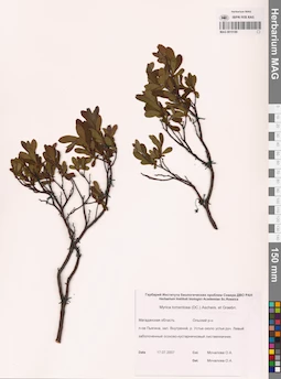 MAG 0015189