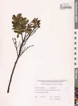 MAG 0015192