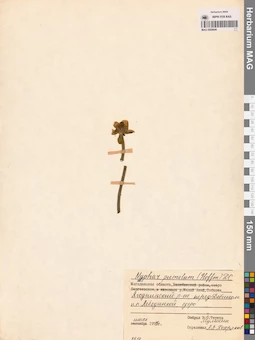 MAG 0008846