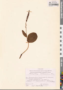 MAG 0001797
