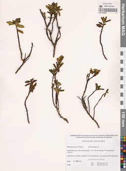 MAG 0009888