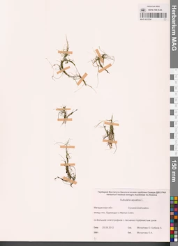MAG 0012790