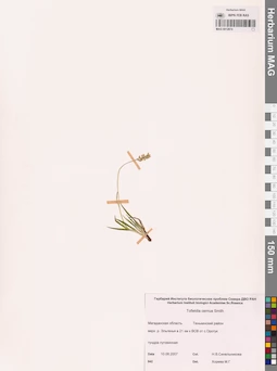 MAG 0012874