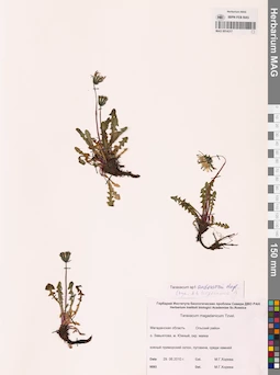 MAG 0014317