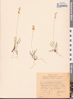 MAG 0014323