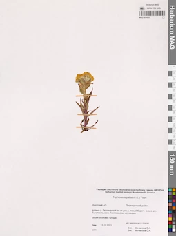MAG 0014357