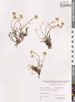 MAG 0014421