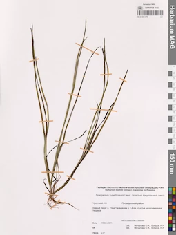 MAG 0014472