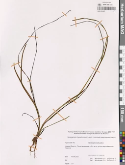 MAG 0014473
