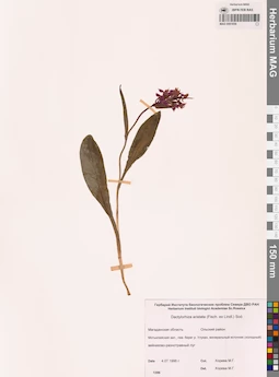 MAG 0001659