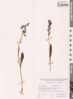 MAG 0001828