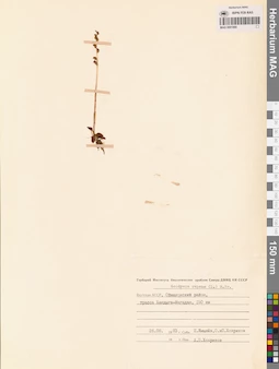 MAG 0001880