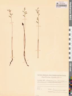 MAG 0001928