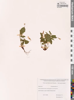 MAG 0004324
