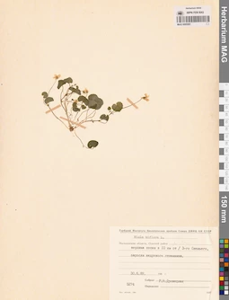 MAG 0005581