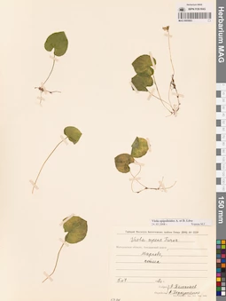MAG 0005663