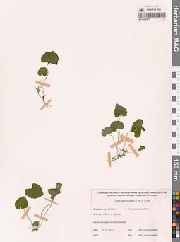 MAG 0005679