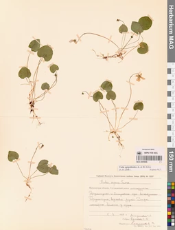 MAG 0005688