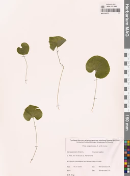 MAG 0005721