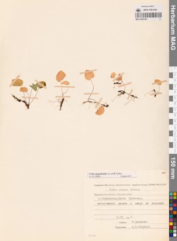MAG 0005748