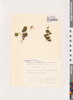 MAG 0005763