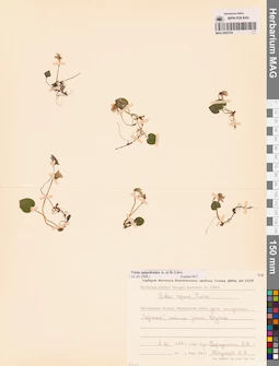 MAG 0005764