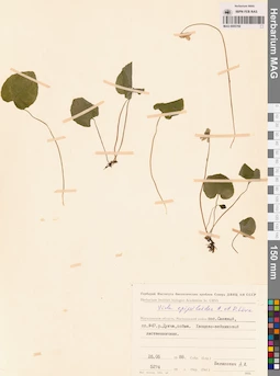 MAG 0005769