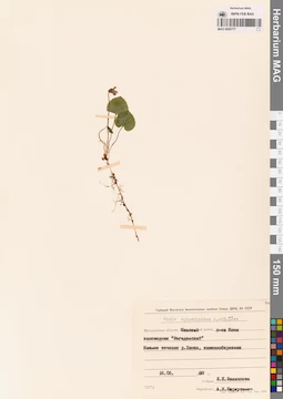 MAG 0005777