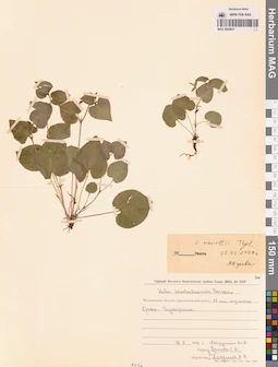 MAG 0005837