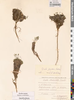 MAG 0012834