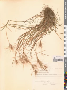 MAG 0004691